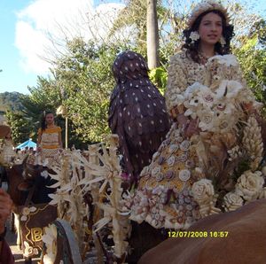 Documentário: 2008: A Festa das nove princesas imagem 9