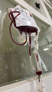 Bernadete precisa de ajuda - Associação Formosense Anjos de Quatro Patas 