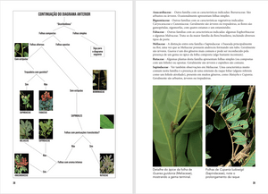 Piracicaba/SP - "Como Identificar Plantas em Campo" Ajude a Produzir o Livro 