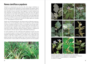 Livro - "Como Identificar Plantas em Campo" Ajude a Produzir o Livro 