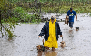 Causas e Comunidade - Ajude as Vítimas das Enchentes em Canoas a Reconstruir Seus Lares!