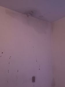 Reformar paredes e laje com muita infiltração e mofo imagem 7