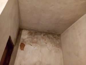 Juiz de Fora/MG - Reformar paredes e laje com muita infiltração e mofo