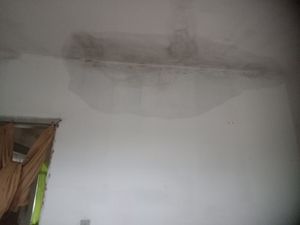 Reformar paredes e laje com muita infiltração e mofo imagem 6