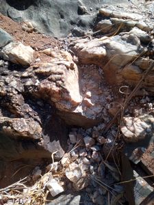 Pesquisa - Meu detector