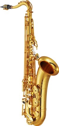 Vaquinha - Saxofone Tenor comprar/sonho/música/amor