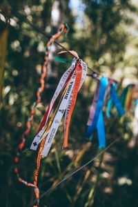 PRÉ-VENDA LIVRO OFICIAL 20 ANOS DO CAMINHO DA FÉ   imagem 7