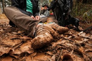 PRÉ-VENDA LIVRO OFICIAL 20 ANOS DO CAMINHO DA FÉ   imagem 9