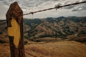 Pré-venda Coletiva - PRÉ-VENDA LIVRO OFICIAL 20 ANOS DO CAMINHO DA FÉ  