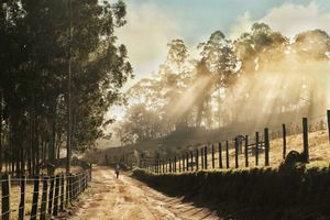 PRÉ-VENDA LIVRO OFICIAL 20 ANOS DO CAMINHO DA FÉ   imagem 8