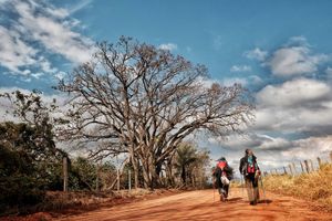 Livro - PRÉ-VENDA LIVRO OFICIAL 20 ANOS DO CAMINHO DA FÉ  