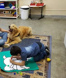 Crowdfunding - EAA-  Projeto Olhar de Cão