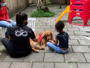 São Paulo/SP - EAA-  Projeto Olhar de Cão