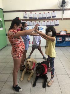 EAA-  Projeto Olhar de Cão imagem 10