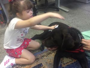 EAA-  Projeto Olhar de Cão imagem 7