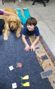 Educação - EAA-  Projeto Olhar de Cão