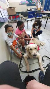 EAA-  Projeto Olhar de Cão imagem 9