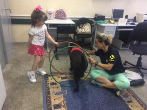 EAA-  Projeto Olhar de Cão imagem 8