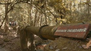 Vivência na Natureza 2023 - Estudo do Meio Instituto UNO imagem 6