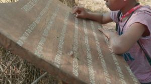 Vivência na Natureza 2023 - Estudo do Meio Instituto UNO imagem 9