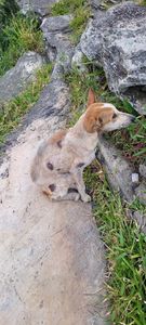 Vaquinha Online - Cada minuto faz diferença! 