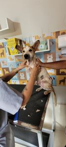 Lia Lisboa - Cada minuto faz diferença! 