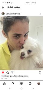 Saúde e Emergências - Um coração novo para o Lucky 