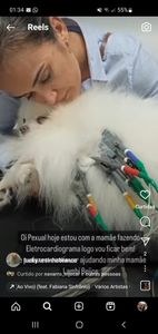 Vaquinha Online - Um coração novo para o Lucky 