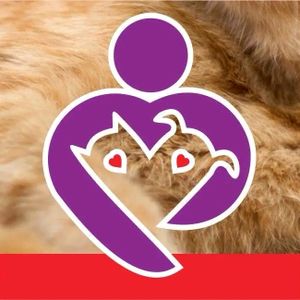 Animais - Ajudar ONG Proteção animal 