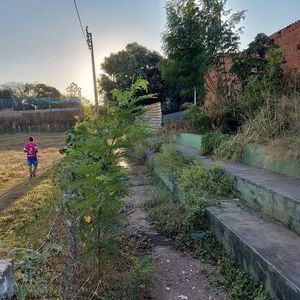 Esportes - Trazendo o sonho novamente 