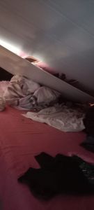 Maria Sousa - Ajuda para reconstruir meu telhado