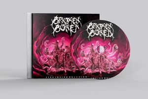 Crowdfunding - Lançamento do Álbum " Lies Inside Delusion" 2025