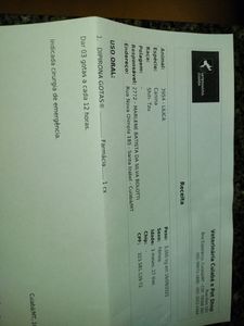 Vaquinha Online - Vaquinha pra ajudar a Lilica