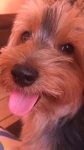 Ajude o nick  imagem 10