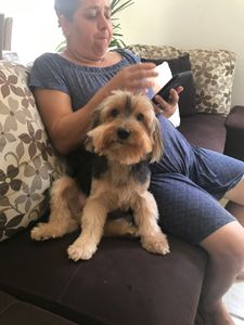 Ajude o nick  imagem 8