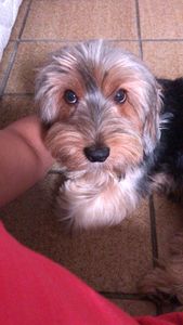 Ajude o nick  imagem 6