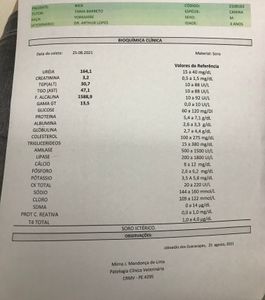 Ajude o nick  - Ajude o nick 