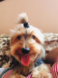 Jaboatão dos Guararapes/PE - Ajude o nick 