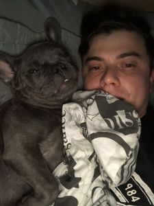 Animais - Melhor amigo não se deixa para trás. Quanto você pagaria para não se separar do seu melhor amigo?