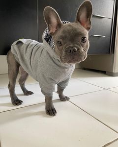 Crowdfunding - Melhor amigo não se deixa para trás. Quanto você pagaria para não se separar do seu melhor amigo?