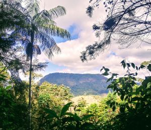 Jupiara Pereira de Almeida - Amigos do Céu de Aldebaran