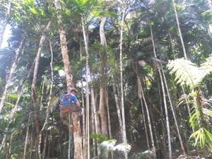 Assinatura e Recorrência - Amigos do Céu de Aldebaran