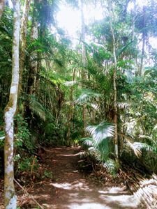 Financiamento Coletivo - Amigos do Céu de Aldebaran