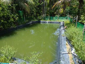 Pesquisa - Congresso