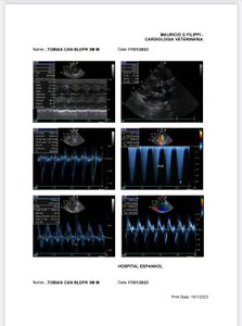 Cirurgia de Tobias. imagem 10