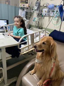 Projeto Pêlo Próximo - Campanha Calendário 2023 do Pêlo Próximo