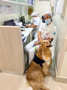 Campanha Calendário 2023 do Pêlo Próximo imagem 6