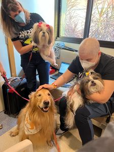 Rio de Janeiro/RJ - Campanha Calendário 2023 do Pêlo Próximo