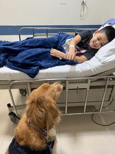 Animais - Campanha Calendário 2023 do Pêlo Próximo