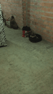 Vaquinha Online - ME AJUDEM A VOLTAR PARA O NORDESTE.